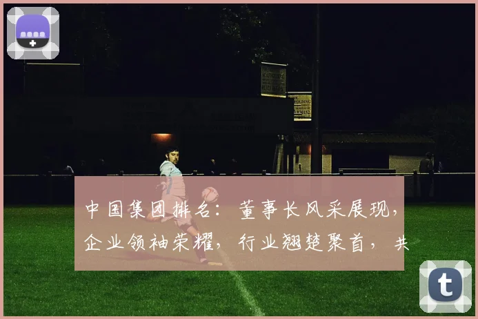 中国集团排名：董事长风采展现，企业领袖荣耀，行业翘楚聚首，共话发展未来。