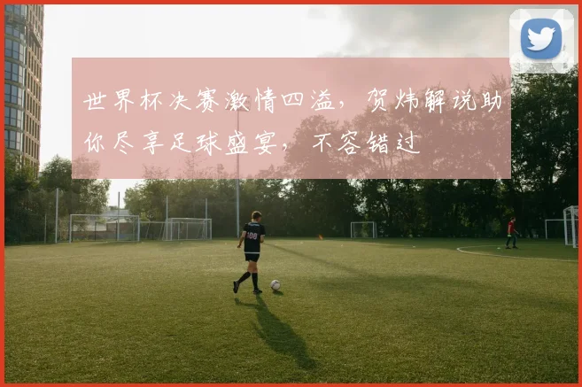 世界杯决赛激情四溢，贺炜解说助你尽享足球盛宴，不容错过